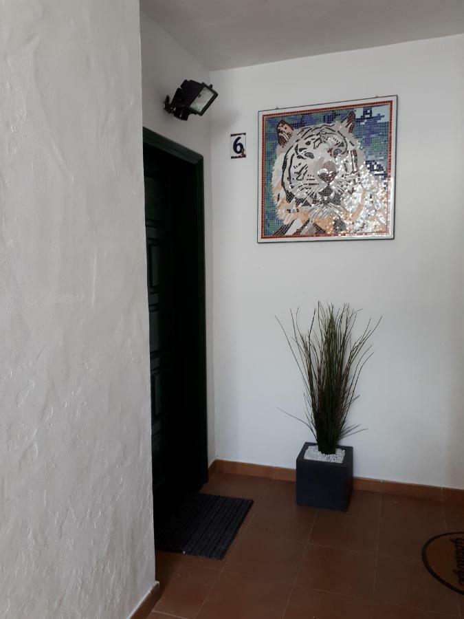 Apartamento Maktub Puerto del Carmen  Exterior foto